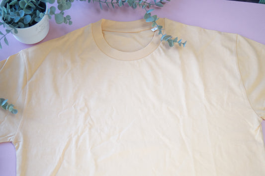 Blank Nispero Boxy Tee Whoopsie Daisy
