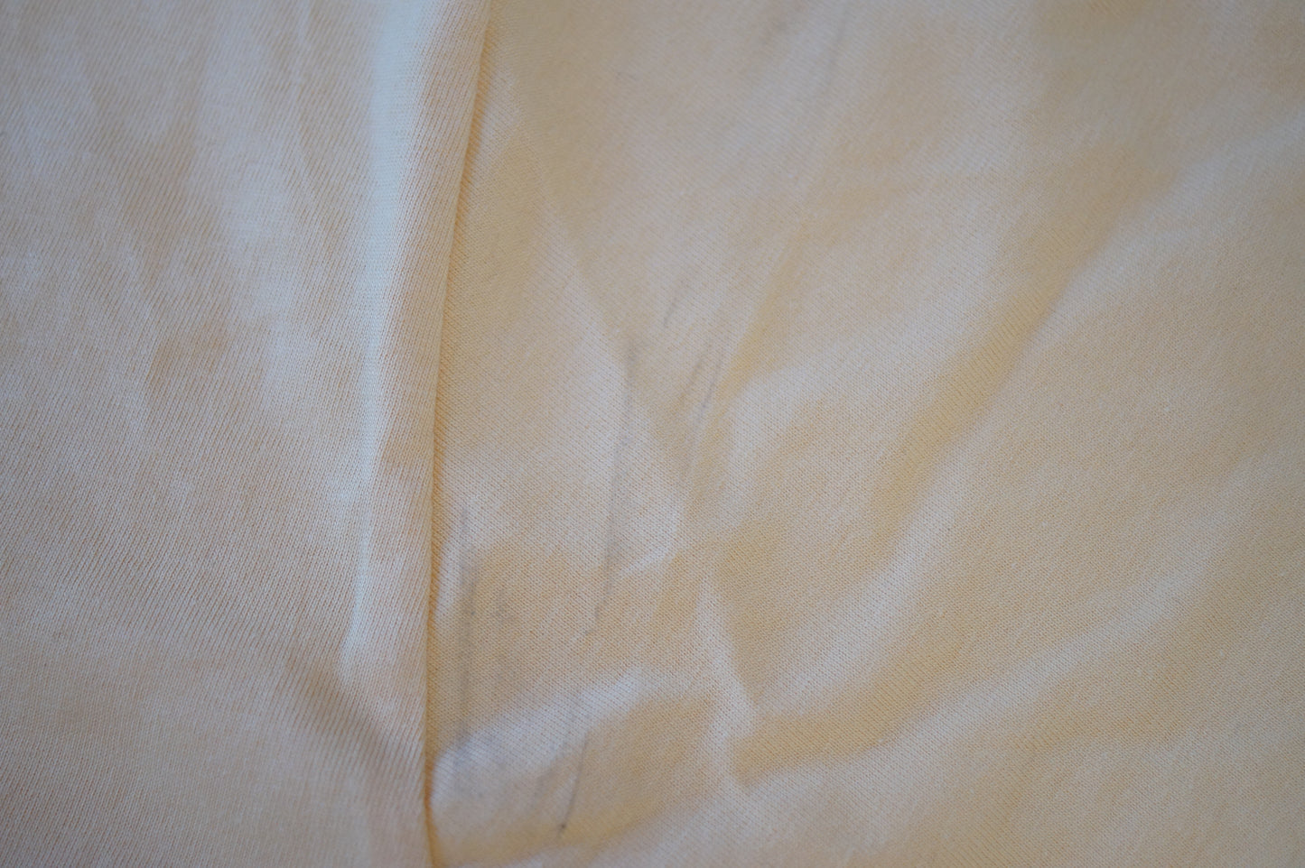 Blank Nispero Boxy Tee Whoopsie Daisy