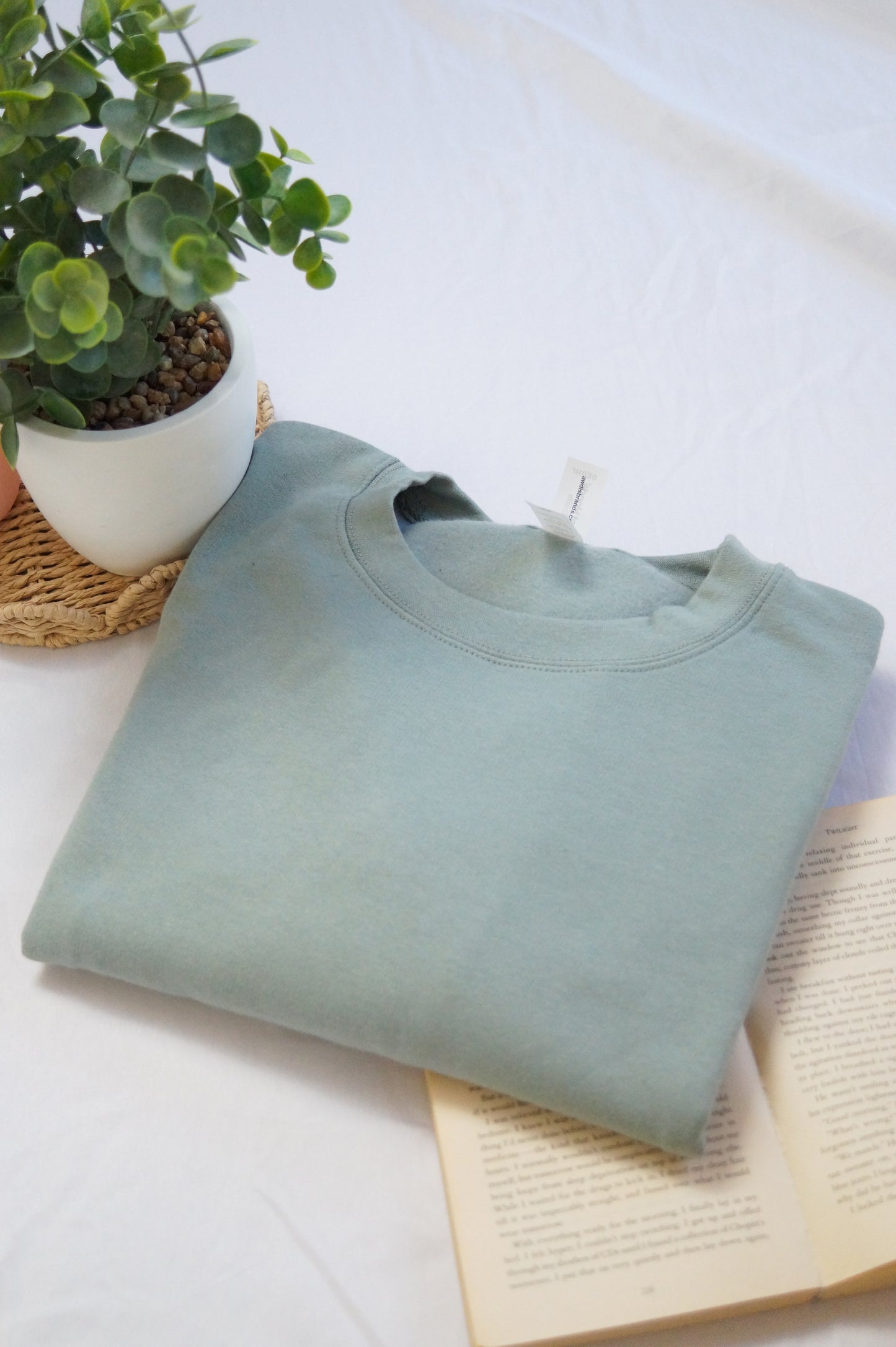 Blank Apple Crewneck Whoopsie Daisy