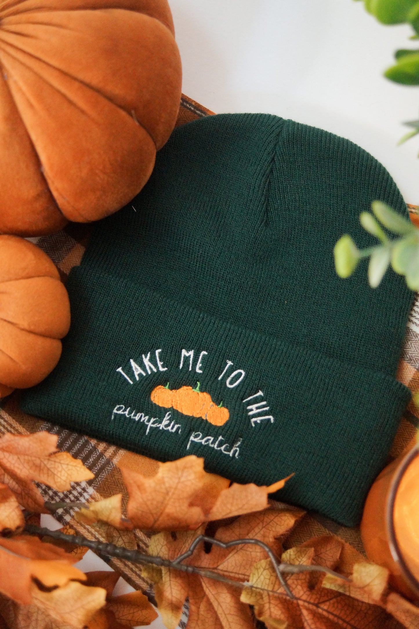 Take Me To The Pumpkin Patch Beanie